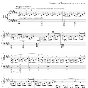 Alternative view of Piano Sonata No. 14 in C-sharp minor, Op. 27, No. 2 “Moonlight”