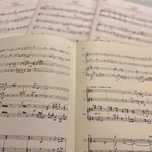 Alternative view of Scoring Express for Sibelius - Chamber